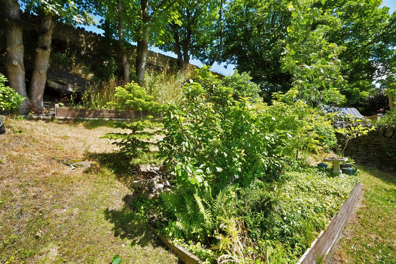 DSC04421A.jpg
